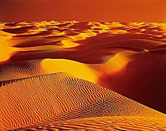 《酒店装修大师》在Steam开启预购 3月8日正式发售